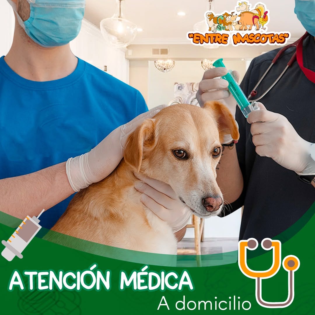 atencionmedica.jpg