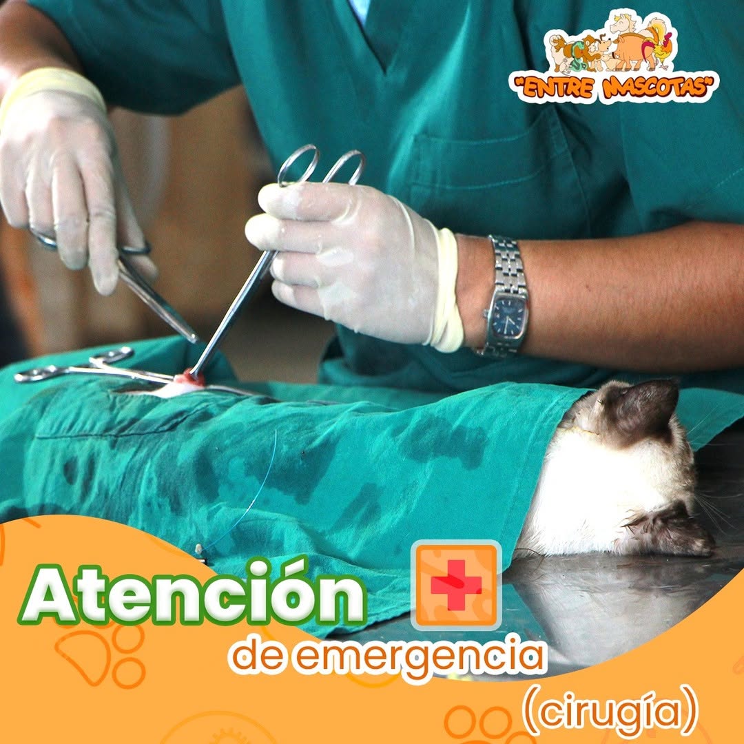 emergencia.jpg